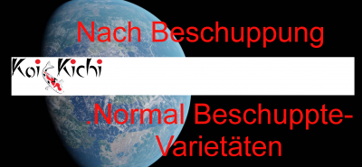 Normal Beschuppte-Varietäten